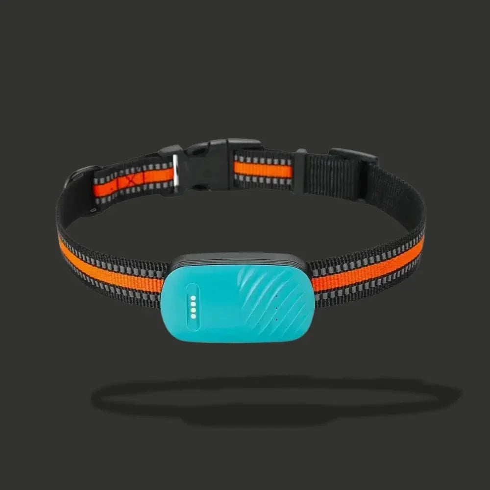 GPS Sporingshalsbånd til Kat – Lokalisering og Daglig Komfort