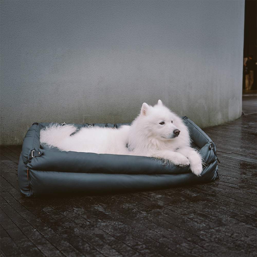 Siège Auto Pour Chien – Confort Et Protection