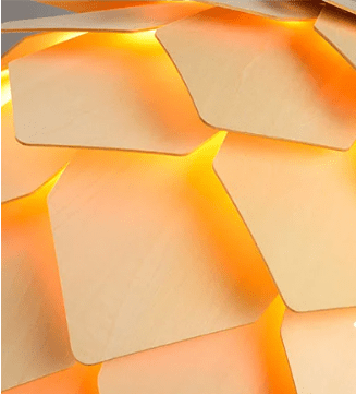 自然にインスパイアされたデザインの彫刻的な吊り照明