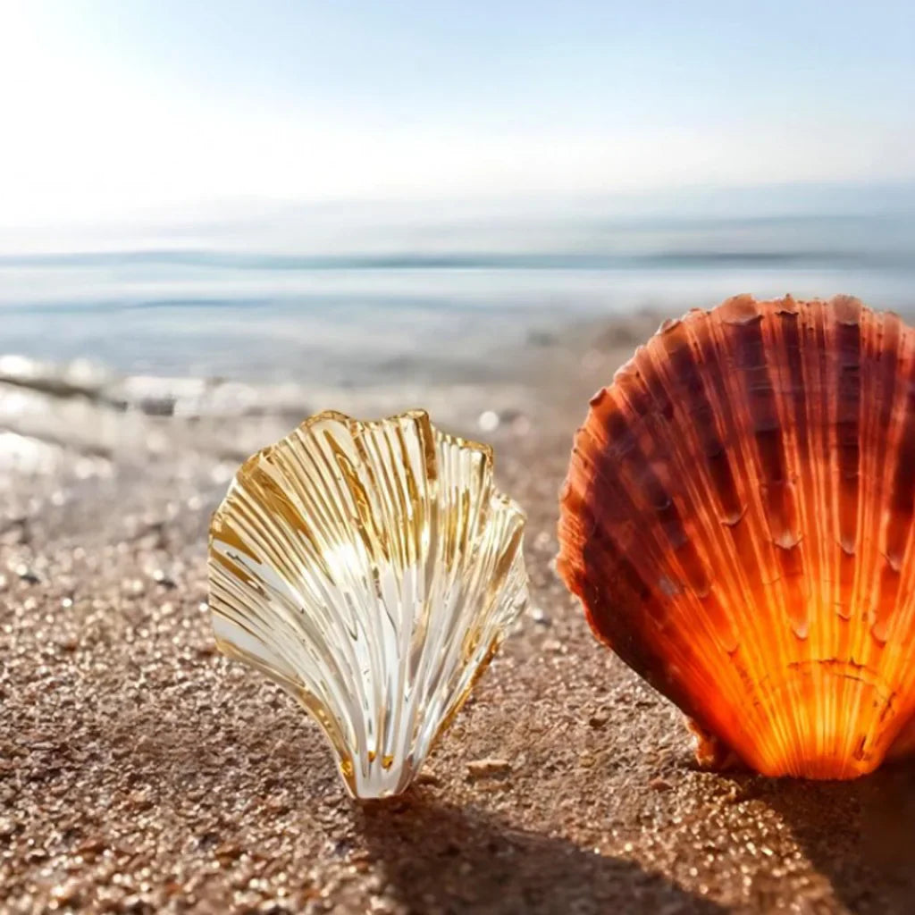 シェル壁灯 – エレガントでマリンな照明