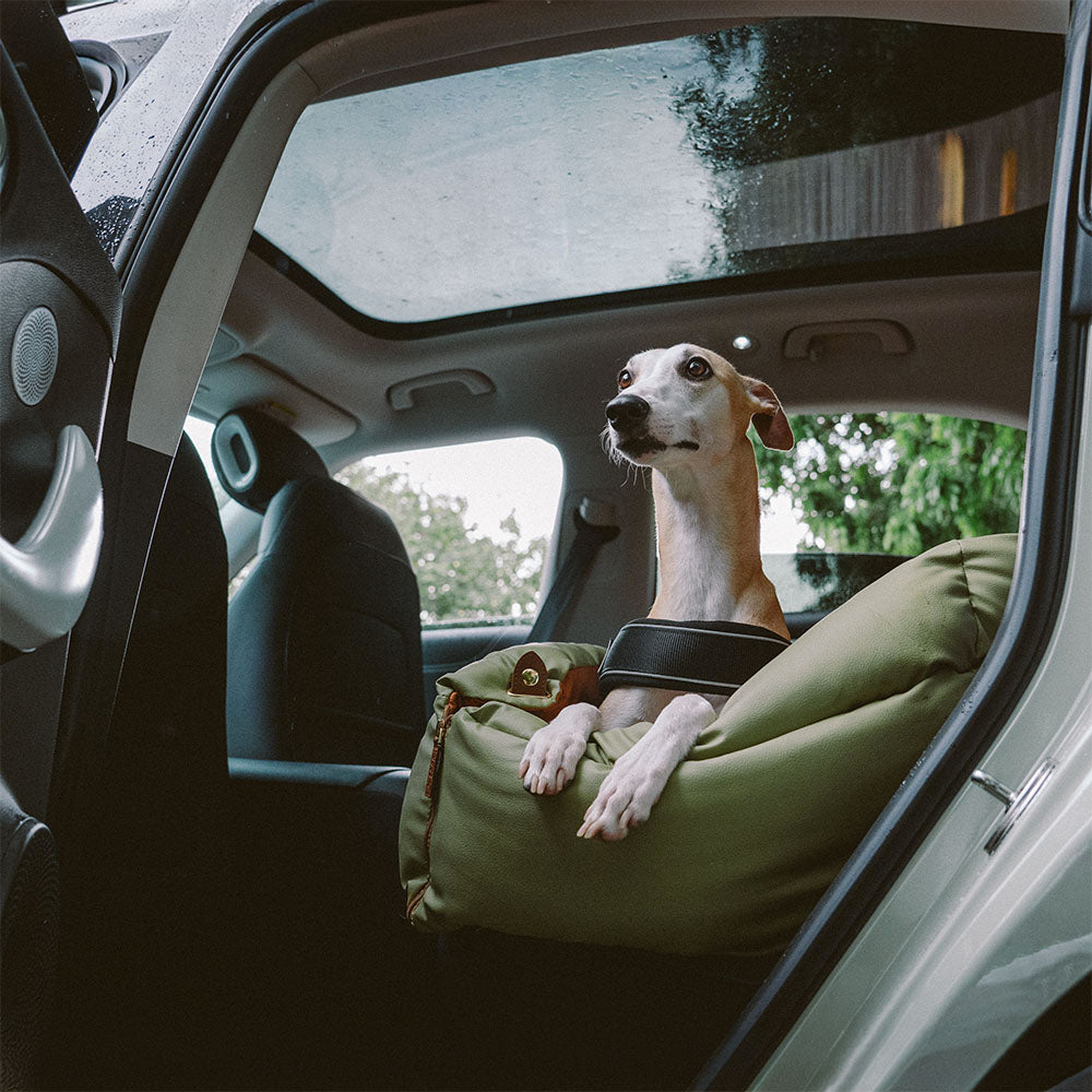 Siège Auto Pour Chien – Confort Et Protection