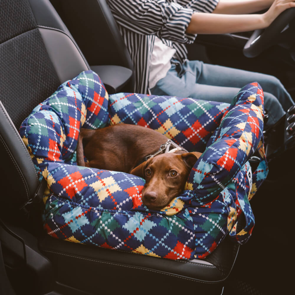 Seggiolino Auto Per Cani – Comfort E Sicurezza In Viaggio