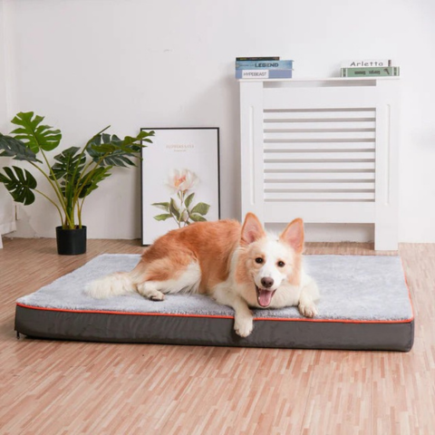 Cama Para Grandes Cães – Conforto E Espaço Adequado