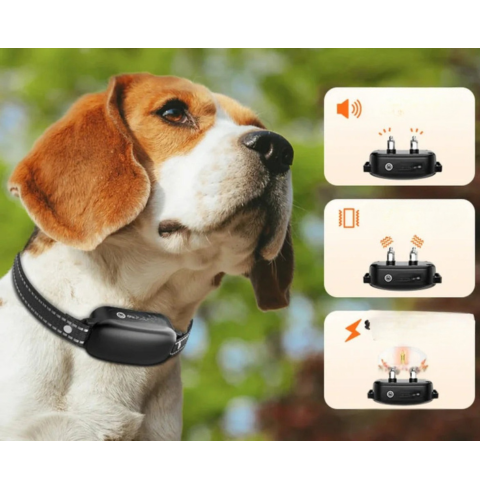 Collier De Dressage Avec Télécommande – Éducation Efficace