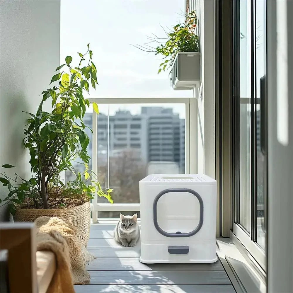 Arena para Gatos Anti-Olor – Limpieza y Comodidad Aseguradas