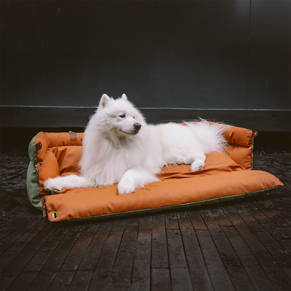 Siège Auto Pour Chien – Confort Et Protection