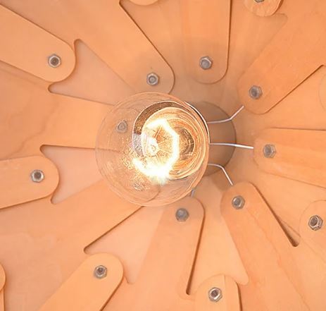 自然にインスパイアされたデザインの彫刻的な吊り照明