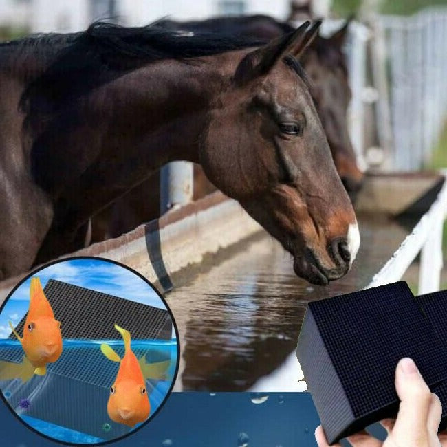 動物用水浄化キューブ – 毎日の清潔で健康的な水