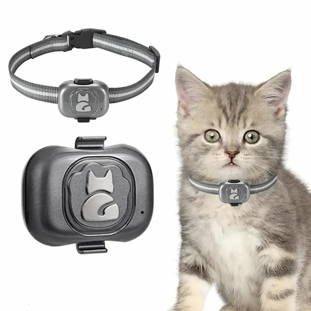 Collar GPS para Gatos – Localización Fácil y Fiable