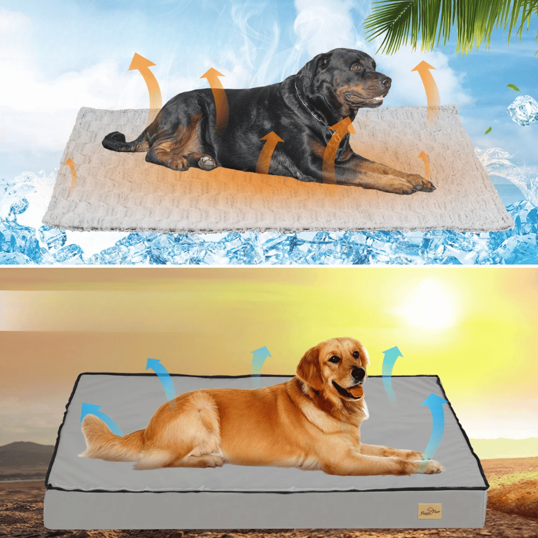 Lit Confort Pour Chien  – Idéal Pour Le Repos Et La Récupération