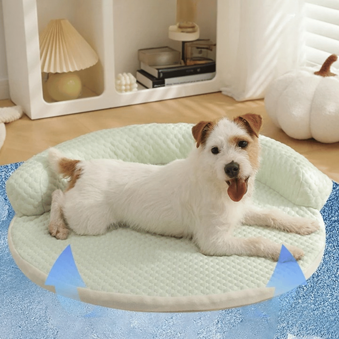 Viilentävä Pyöreä Matto – Korotetulla Lepoalueella 