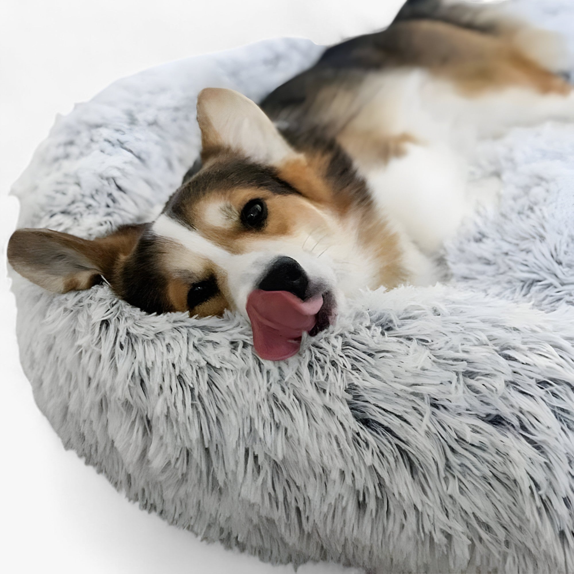 Soothing Bed for Pets – Cozy Comfort and Restorative Sleep 