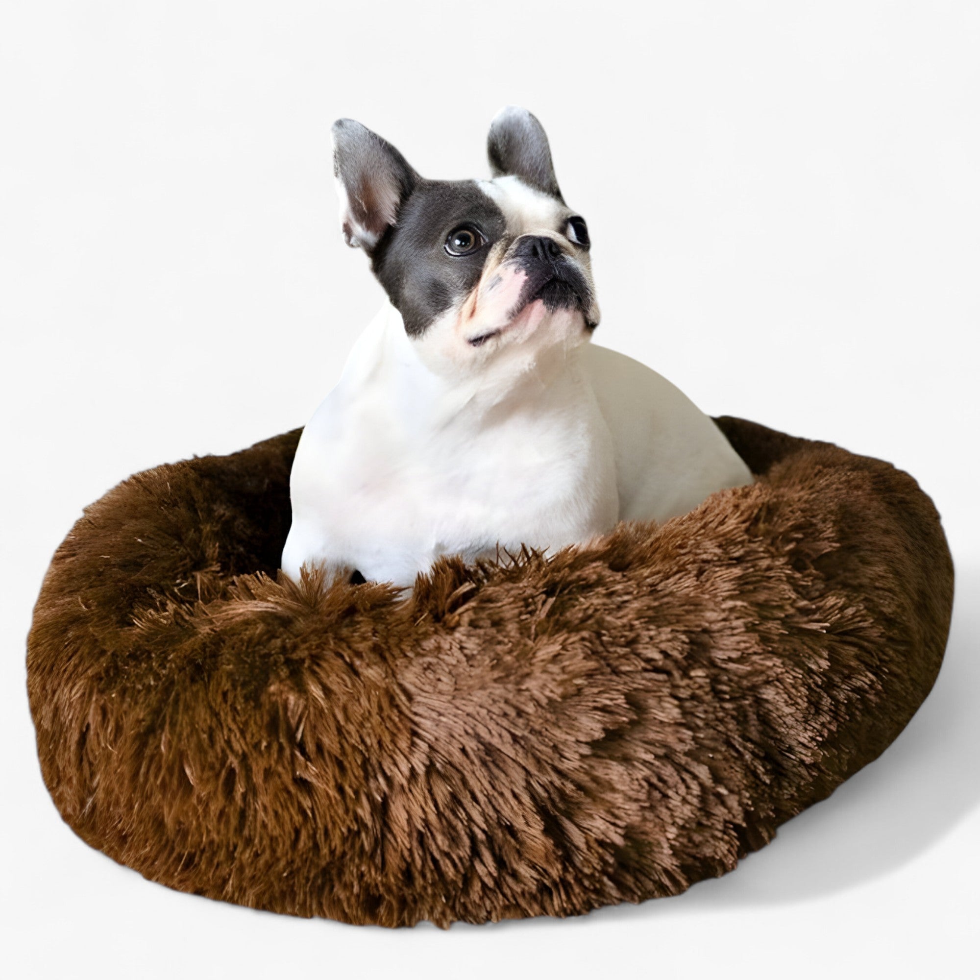 Soothing Bed for Pets – Cozy Comfort and Restorative Sleep 