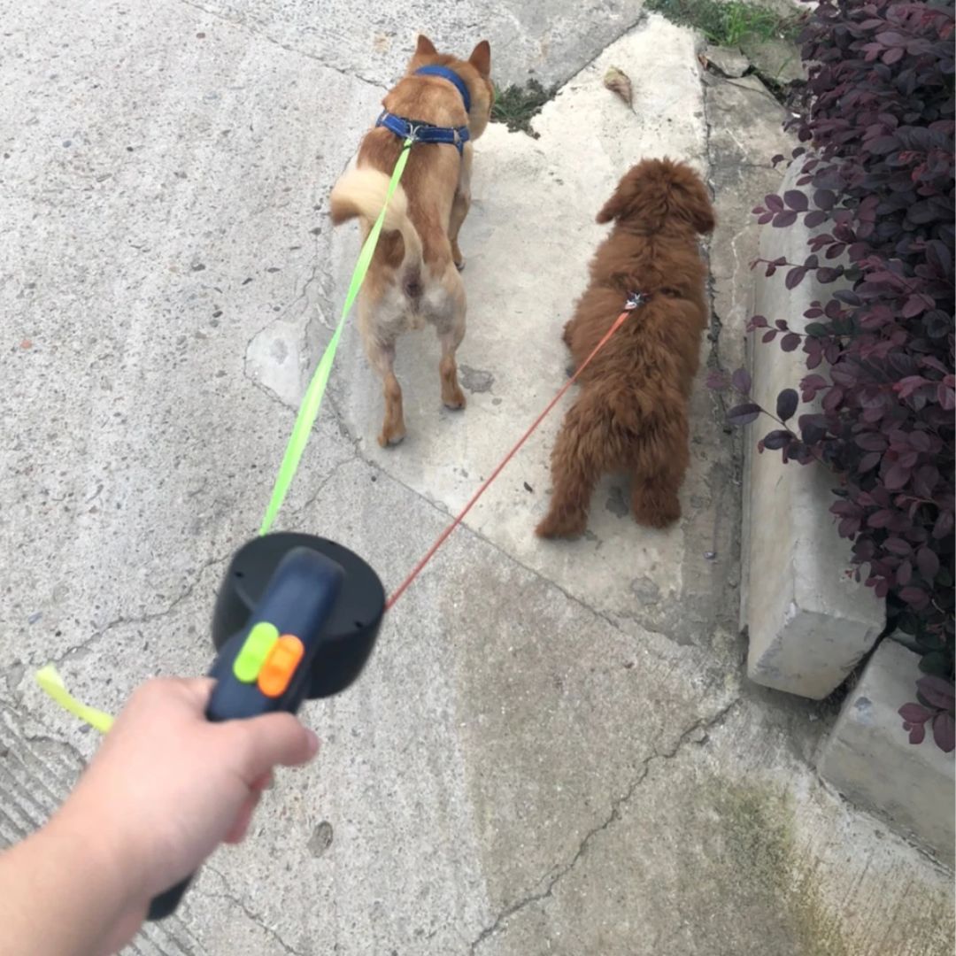 Joustava kaksoisvetoleash koirille – LED-valon ja pussinjakajan kanssa 