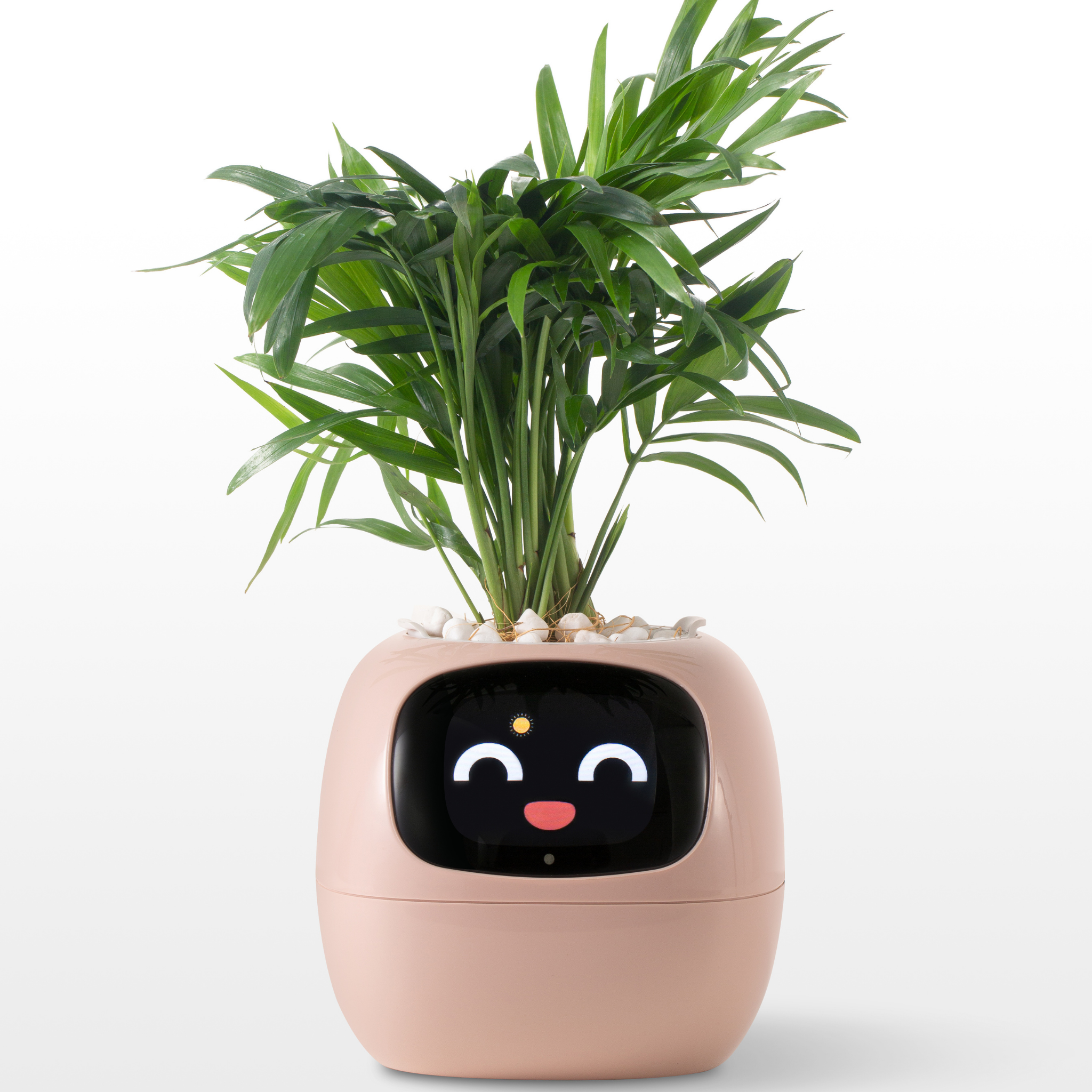 Emoji Blomsterkrukke – Original og Morsom Dekorasjon 