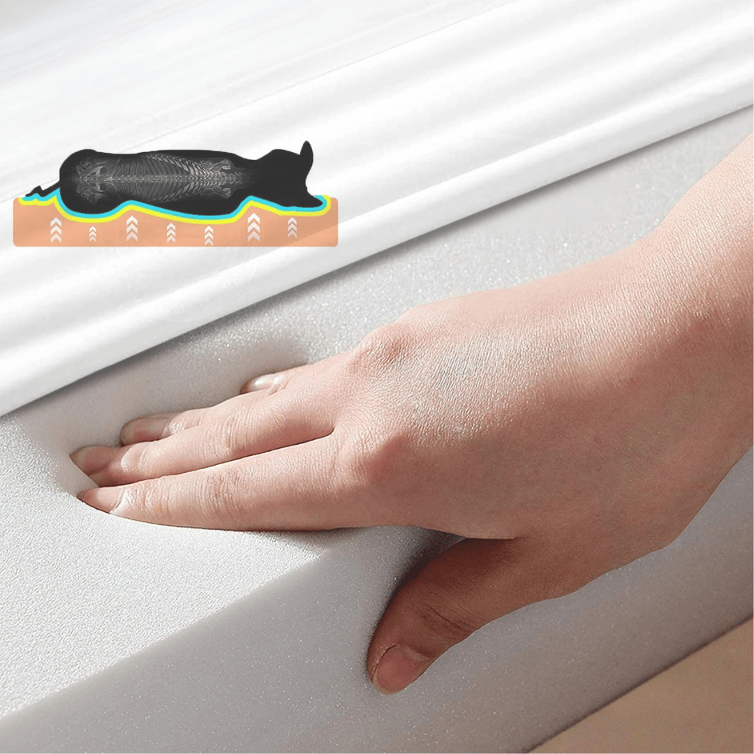 Lit Confort Pour Chien  – Idéal Pour Le Repos Et La Récupération