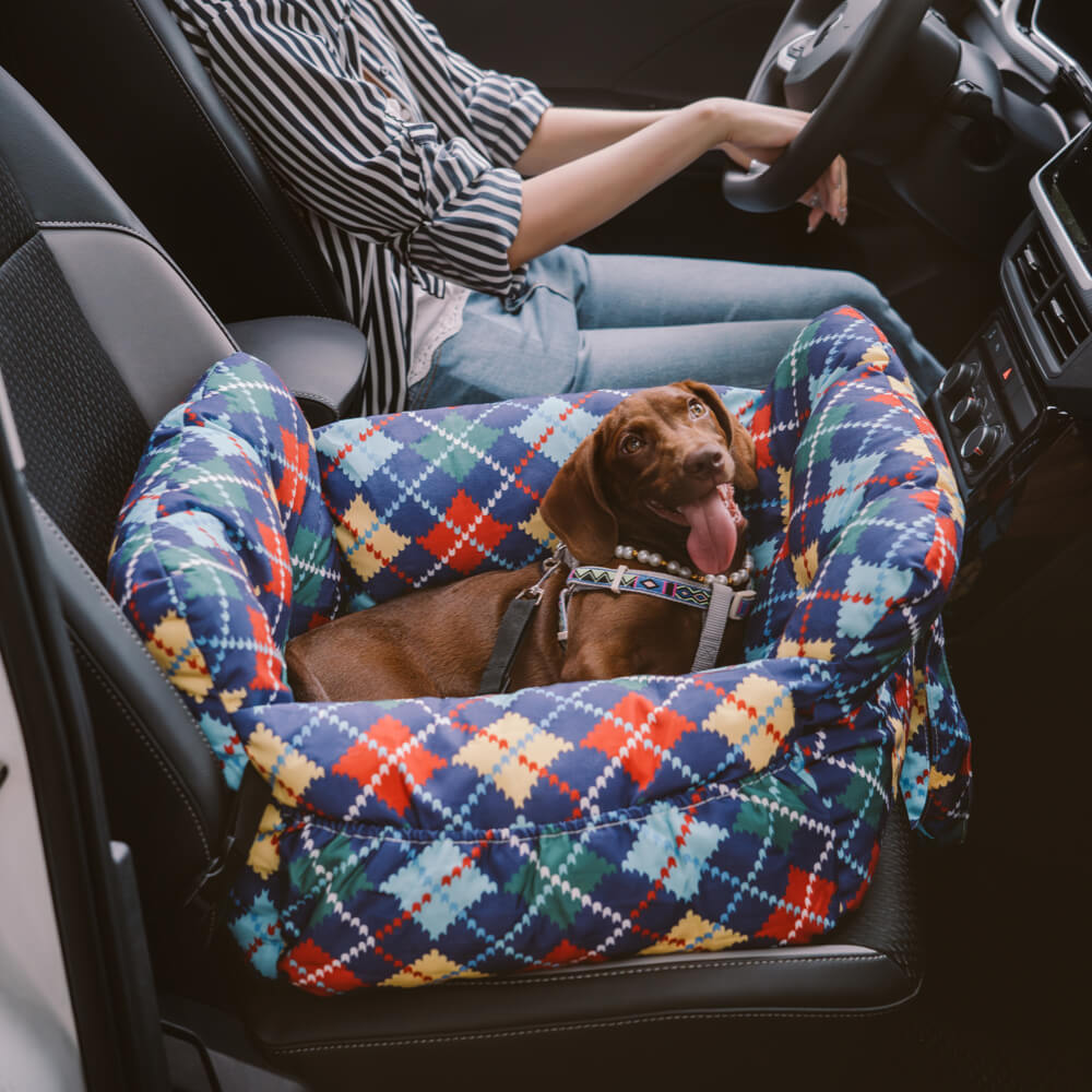 Seggiolino Auto Per Cani – Comfort E Sicurezza In Viaggio 