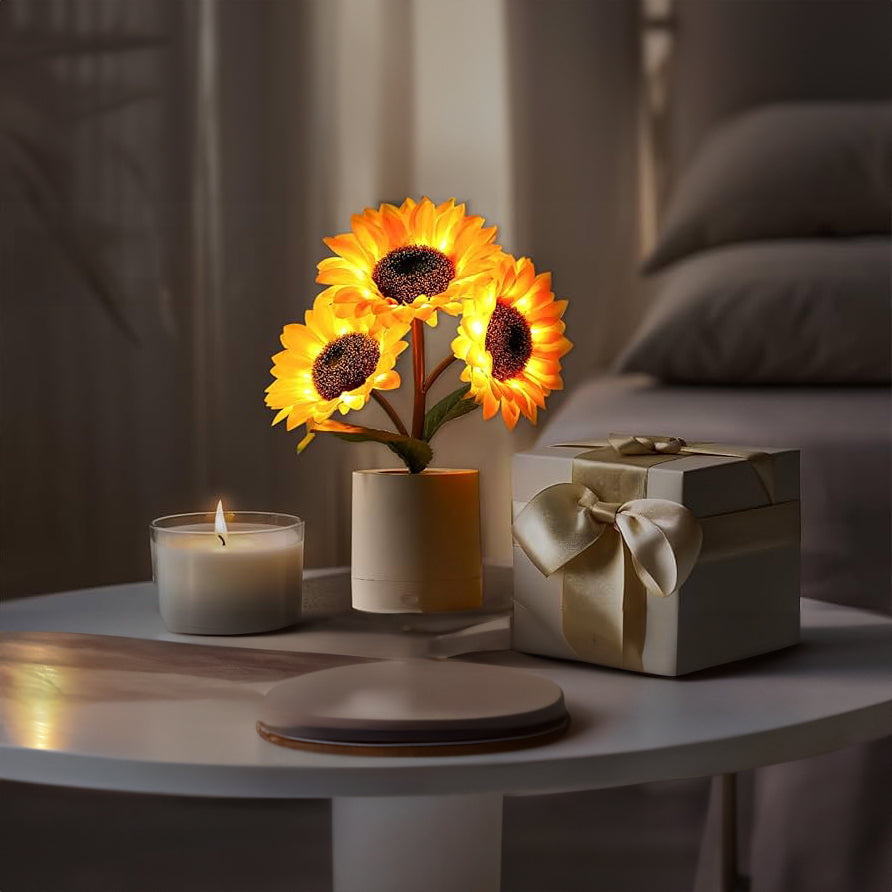 Lampada da Tavolo LED Ricaricabile USB – Illuminazione Originale ed Elegante 