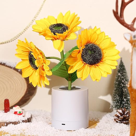 Lampada da Tavolo LED Ricaricabile USB – Illuminazione Originale ed Elegante 