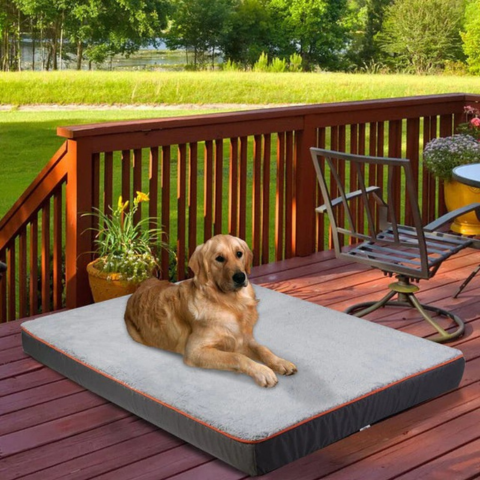Bed For Large Dogs – Comfort And Adequate Space 