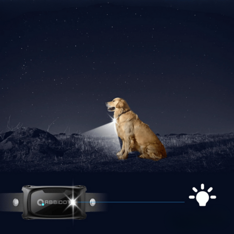 Dog Training Collar – LED Remote Control and Range 1000 m 