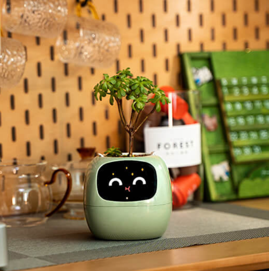 Emoji Bloempot – Originele en Leuke Decoratie 