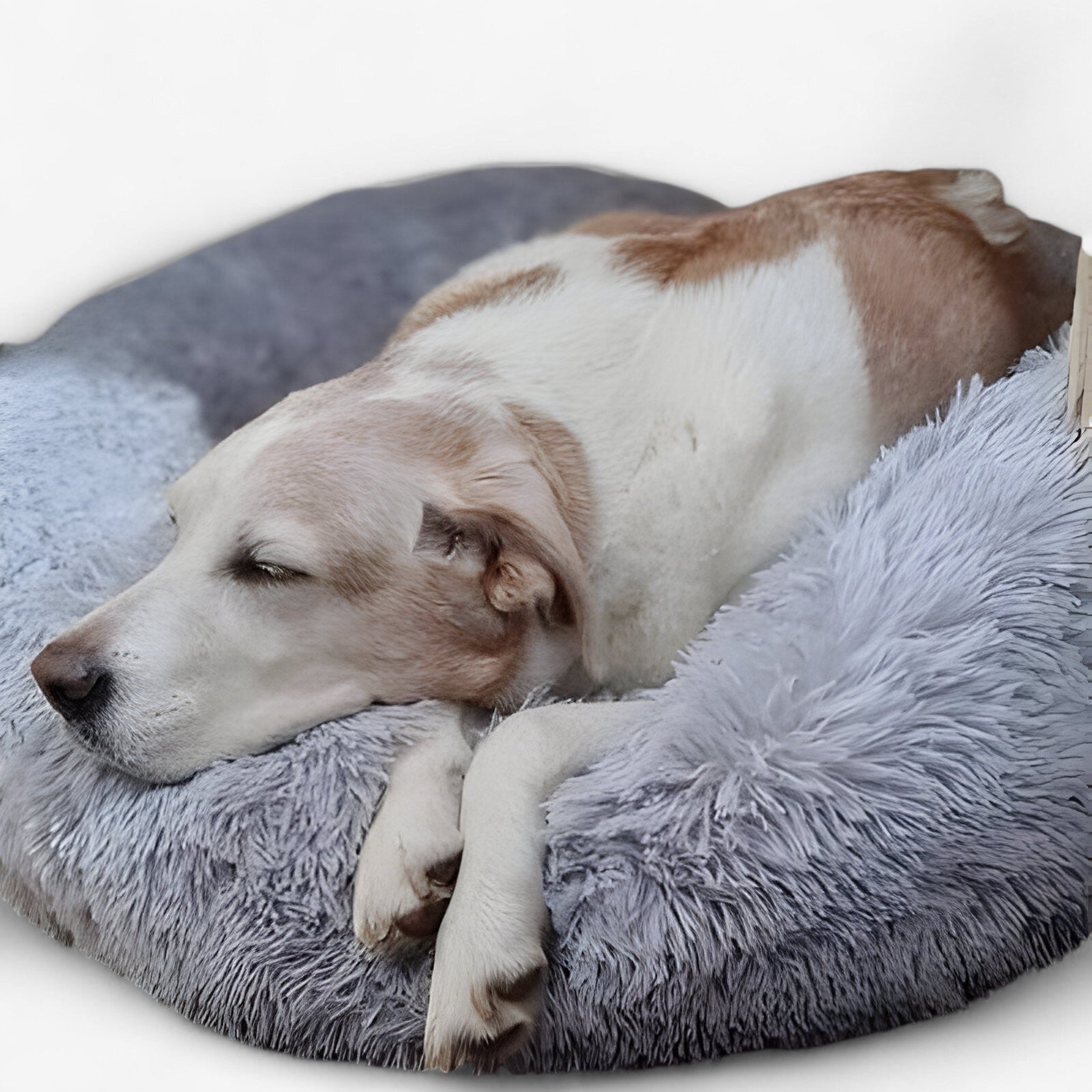 Soothing Bed for Pets – Cozy Comfort and Restorative Sleep 